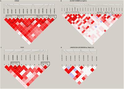 Association of Variants in PLD1, 3p24.1, and 10q11.21 Regions With Hirschsprung’s Disease in Han Chinese Population